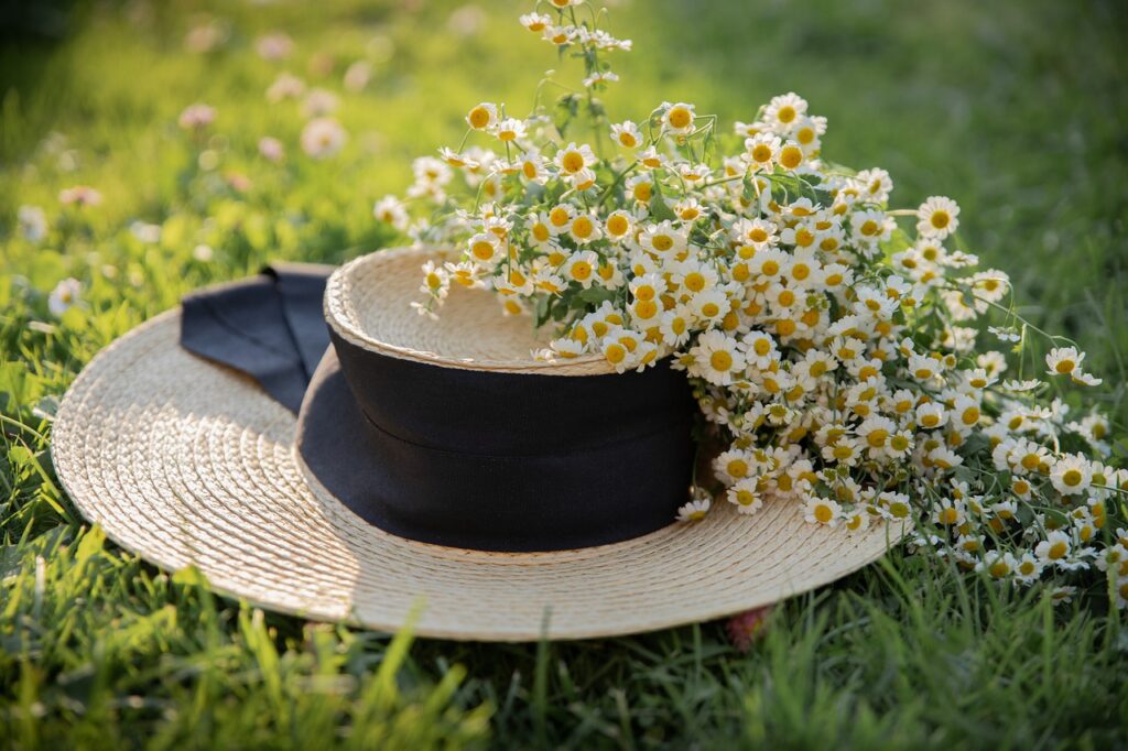 hat, chamomile, summer-6380330.jpg